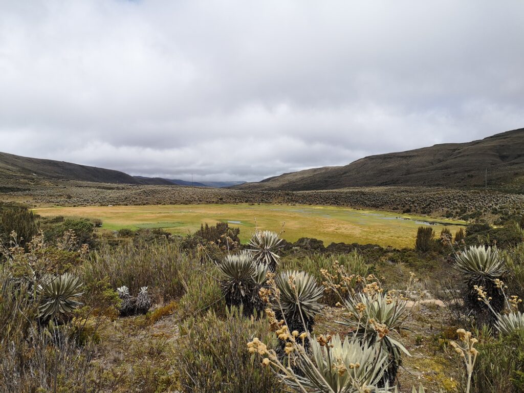Laguna del páramo de Sumapa.