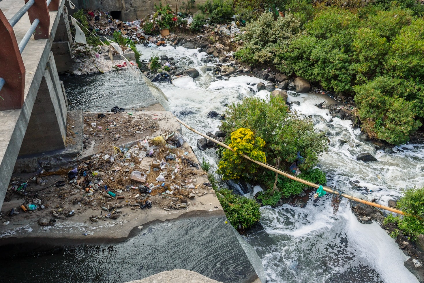 Estrategias locales para proteger el medio ambiente